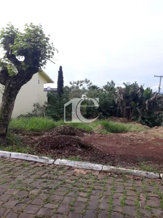 Terreno, foto 1