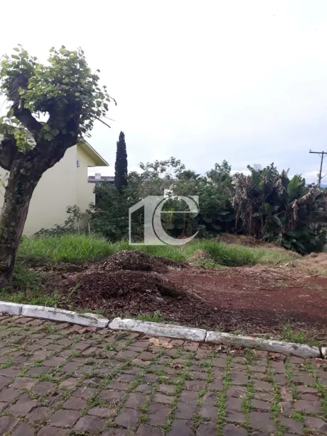 Terreno