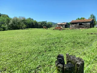 Campo verde aberto com árvores e uma construção rústica ao fundo.