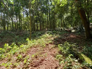 Área rural, foto 3