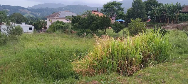 Terreno