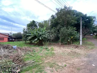 Vista externa de um terreno com vegetação e entulho na frente.