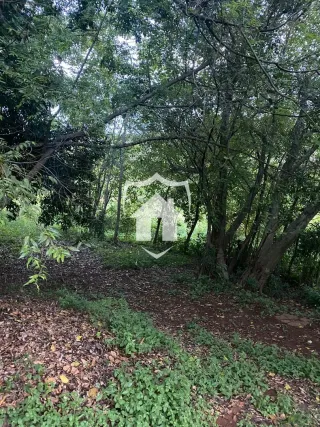 Área rural, foto 11