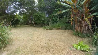 Área rural com 3 dormitórios, foto 15