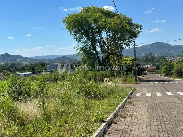 Terreno, foto 3