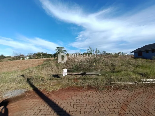 Paisagem de campo seca com vegetação e céu azul.