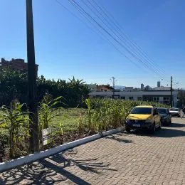 Vista externa de um terreno com vegetação densa e área pavimentada.