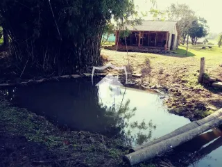 Área rural com 3 dormitórios, foto 13