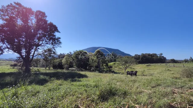 Paisagem de campo aberto com vegetação e montanhas ao fundo.