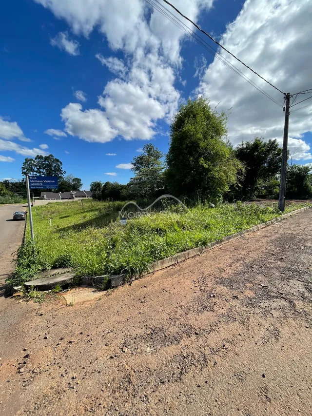 Vista externa de uma área com vegetação e estrada de terra em Lajeado.