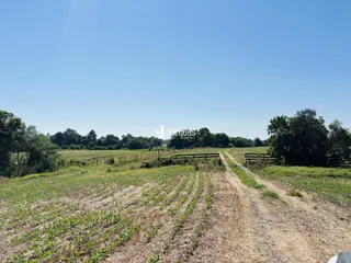 Área rural com 4 dormitórios, foto 29