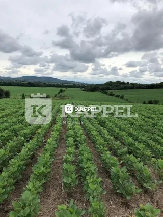 Vista de um campo verde com vegetação densa sob um céu nublado.