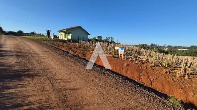 Terreno, foto 3