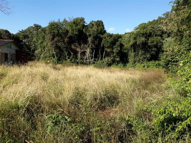 Área rural, foto 2