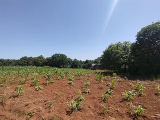 Terreno, foto 1