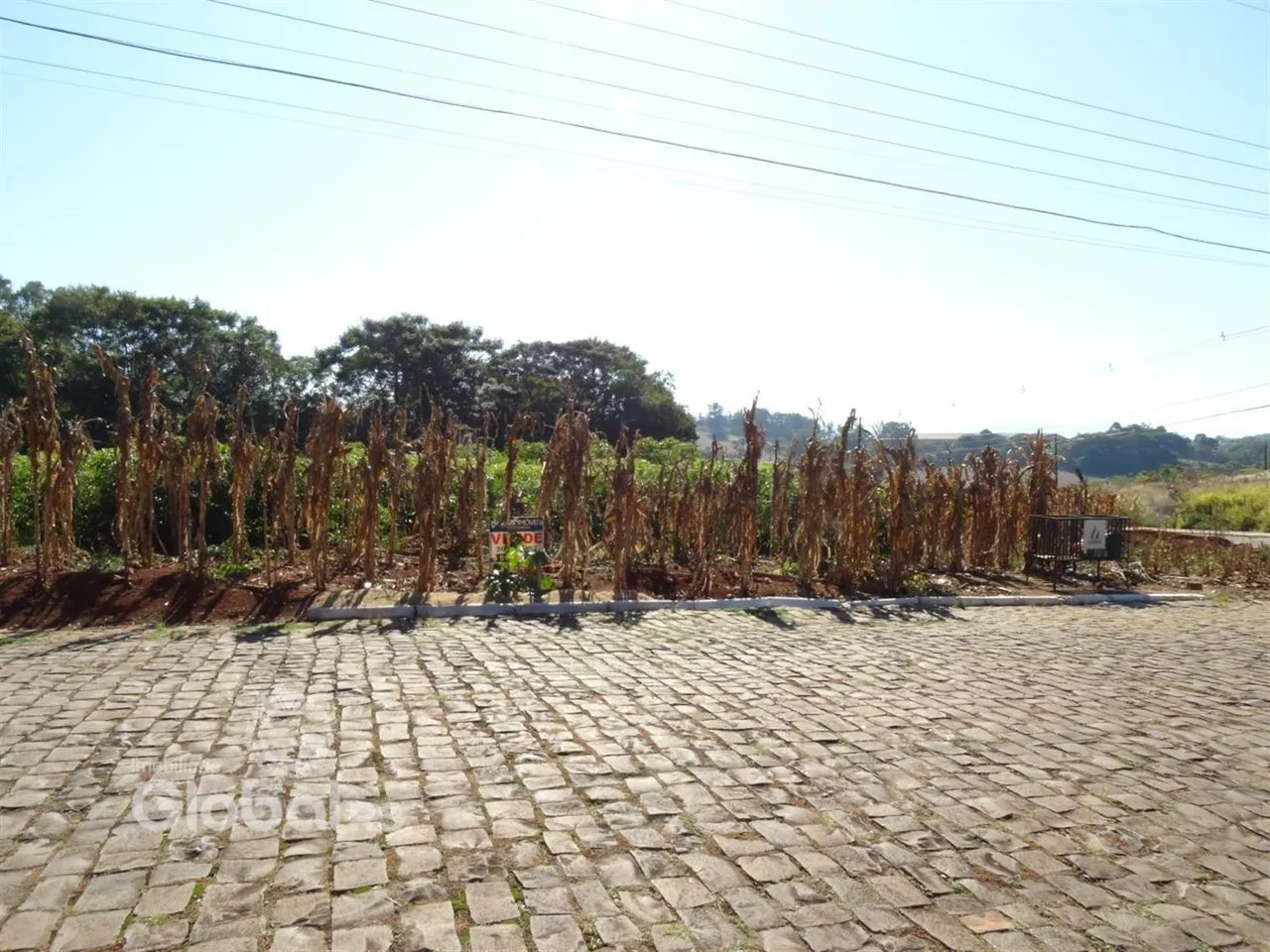 Vista externa de uma propriedade com vegetação seca ao fundo e pavimento de paralelepípedos na frente.