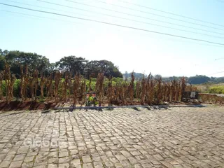 Vista externa de uma propriedade com vegetação seca ao fundo e pavimento de paralelepípedos na frente.