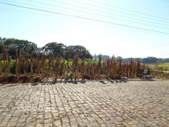 Vista externa de uma propriedade com vegetação seca ao fundo e pavimento de paralelepípedos na frente.