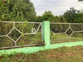 Terreno, foto 3