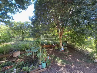 Área rural com 3 dormitórios, foto 6
