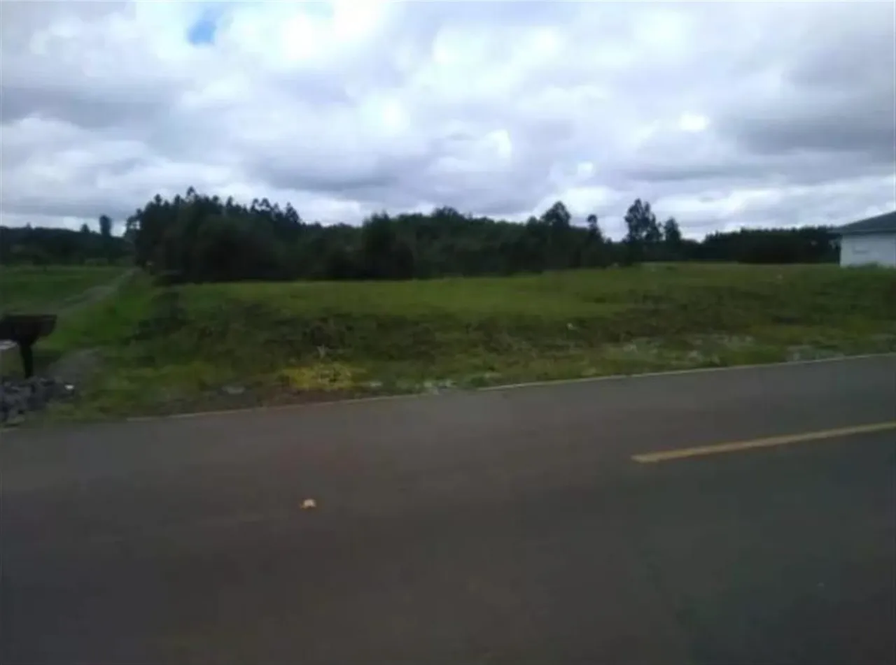 Terreno, foto 1