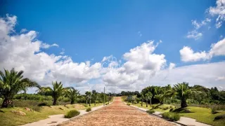 Terreno, foto 1