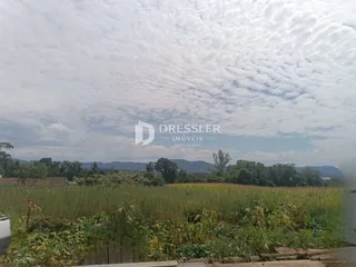 Paisagem de campo com vegetação densa e colinas ao fundo.