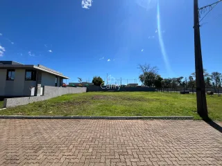 Terreno, foto 3