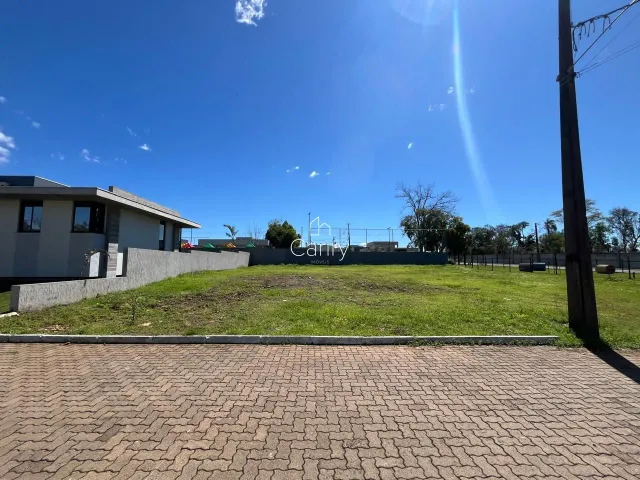 Terreno, foto 3