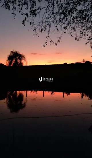 Reflexo do pôr do sol sobre a água com silhuetas de árvores.