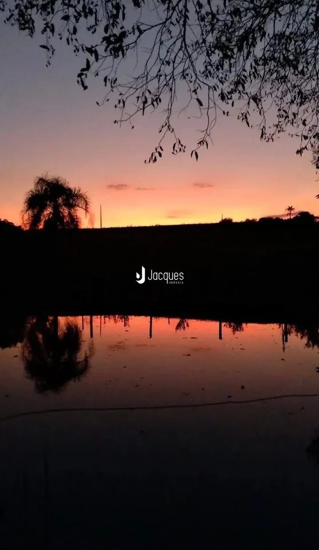 Reflexo do pôr do sol sobre a água com silhuetas de árvores.