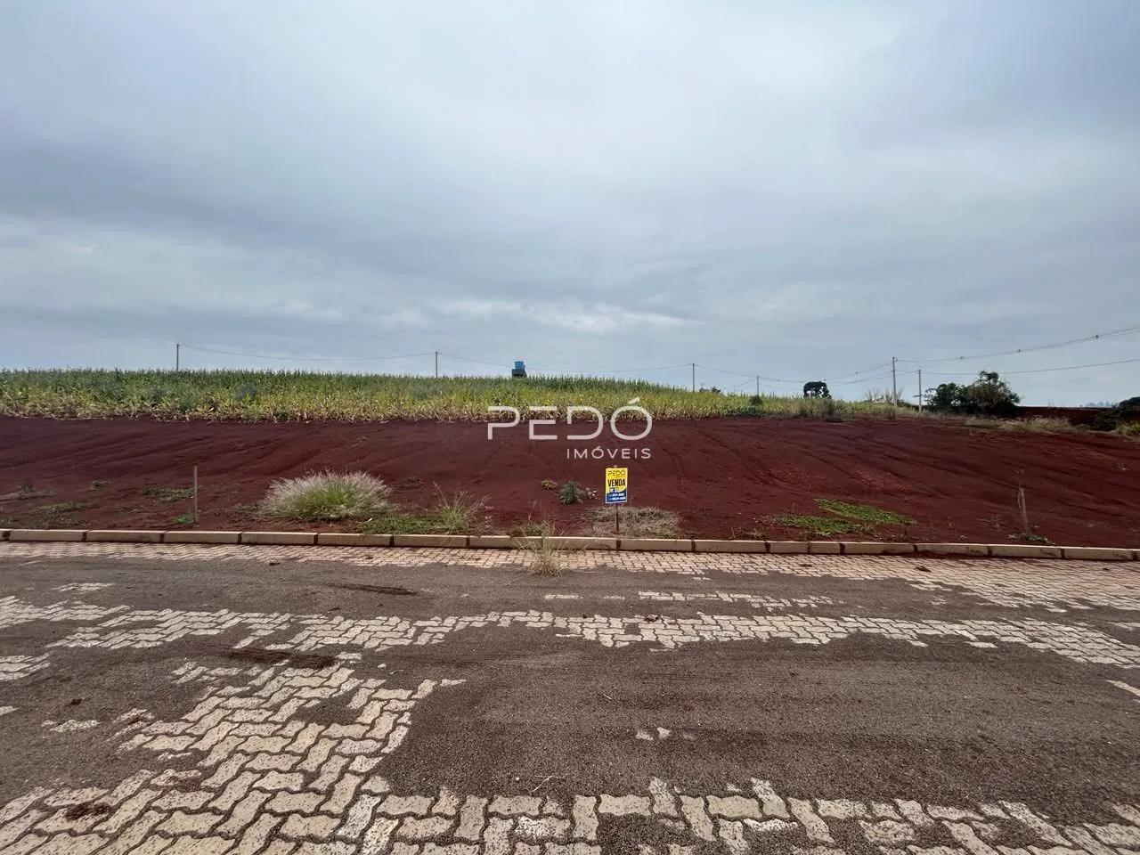 Vista de um terreno aberto com vegetação no fundo e uma estrada no primeiro plano.