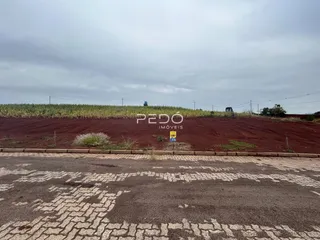 Vista de um terreno aberto com vegetação no fundo e uma estrada no primeiro plano.