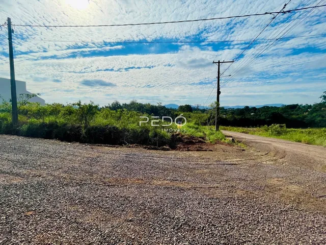 Vista da estrada de terra com vegetação ao fundo.