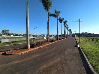 Vista da rua com palmeiras em Lajeado, Brasil.