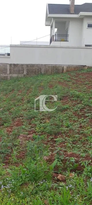Terreno, foto 4