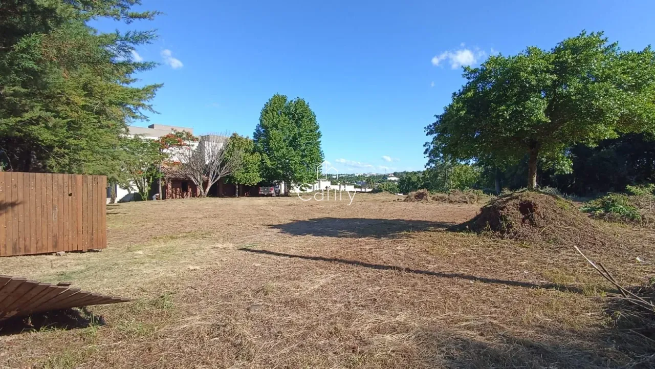 Terreno, foto 1