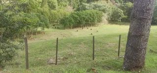 Área rural com 2 dormitórios, foto 12