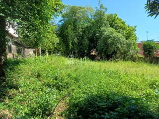 Terreno, foto 5