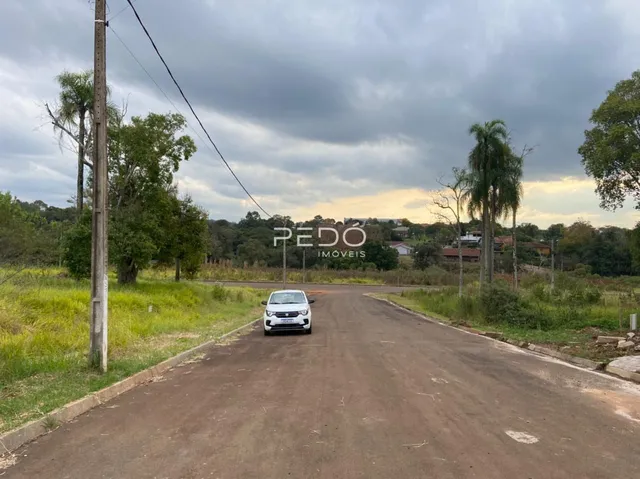 Uma estrada rural com árvores e casas ao fundo.