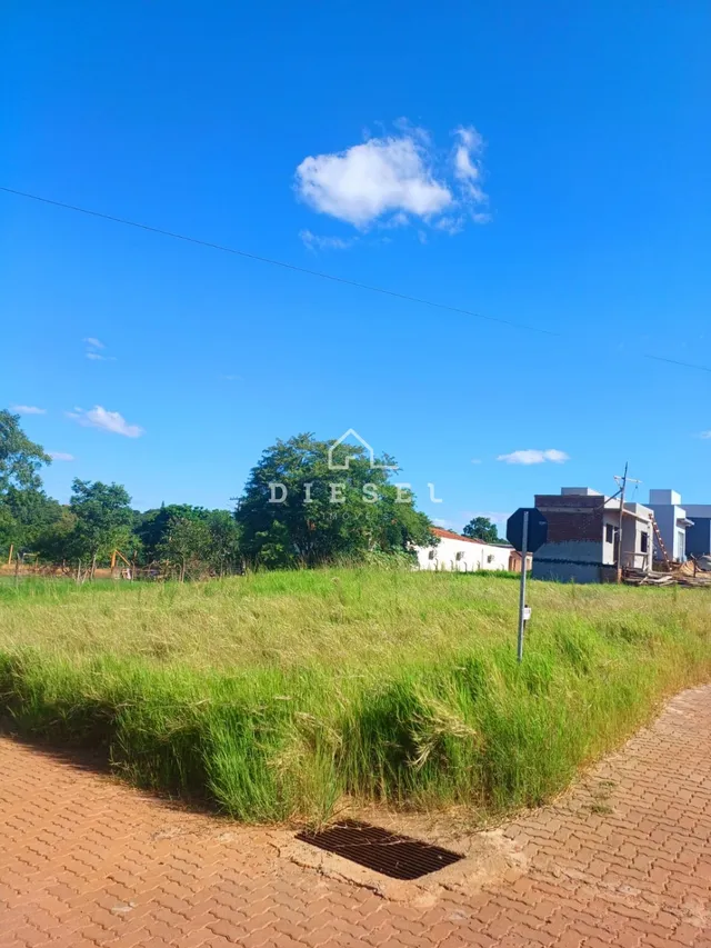 Terreno, foto 2