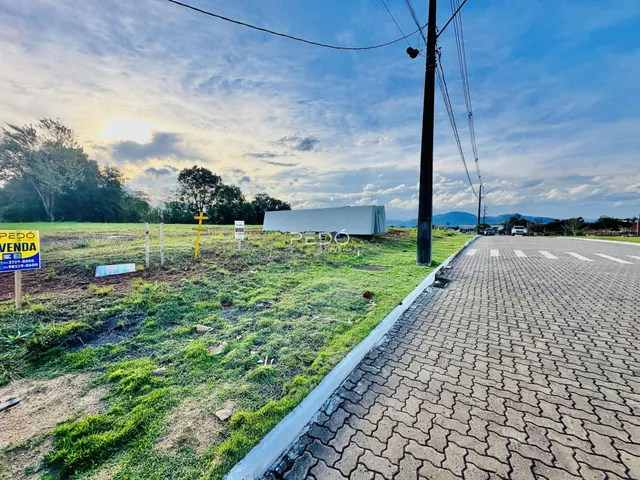 Vista externa de um terreno com grama e uma estrada no fundo.