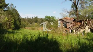 Terreno, foto 11
