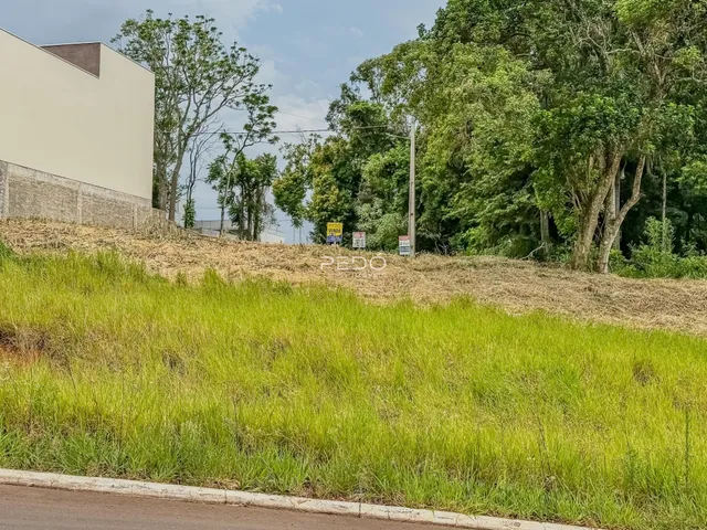 Vista da propriedade com terreno gramado e vegetação densa ao lado de uma edificação.