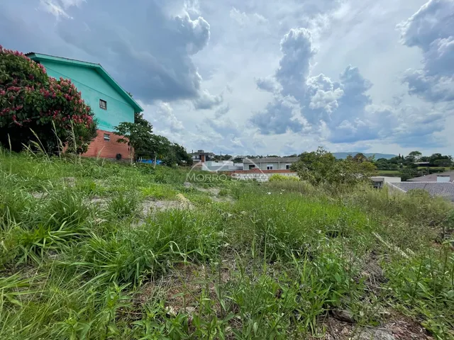 Foto da fachada de uma casa em Lajeado, Brasil, com vegetação alta no primeiro plano.