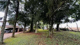 Paisagem externa com árvores grandes e gramado verde.