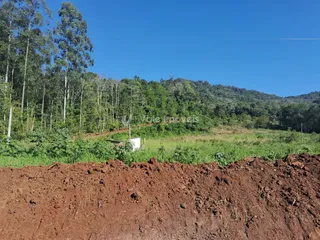 Área rural, foto 3