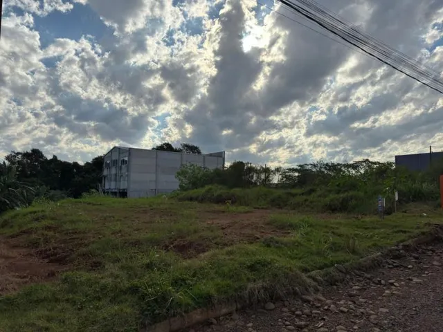 Terreno
