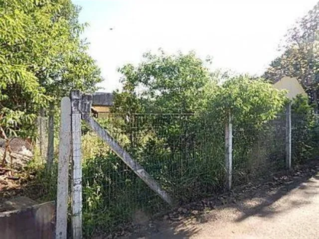 Terreno, foto 3