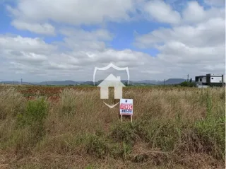 Paisagem de campo com vegetação seca sob um céu nublado.
